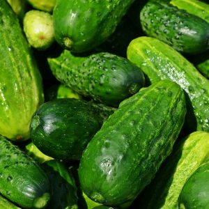cucumbers-849269_1920 cucumbers-849269_1920